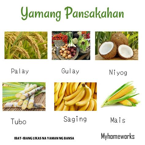 yamang pansakahan|Halimbawa ng mga yamang pansakahan,yamang .